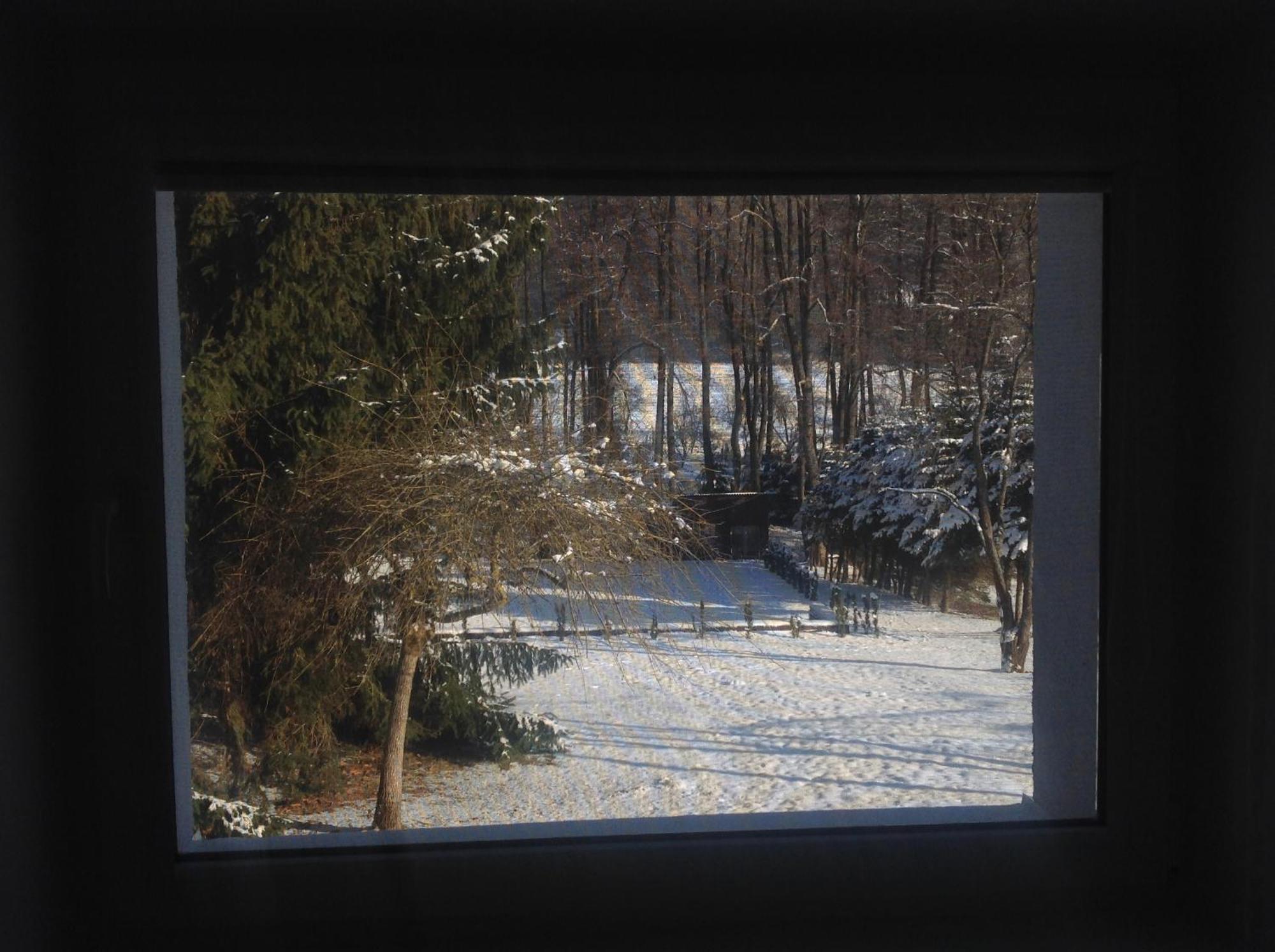 Penzion Zelena Zahrada Kladenske Rovne Exterior foto